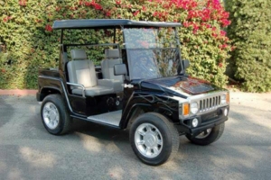 affordable golf cart rental, golf cart rent murrieta golf cart rental